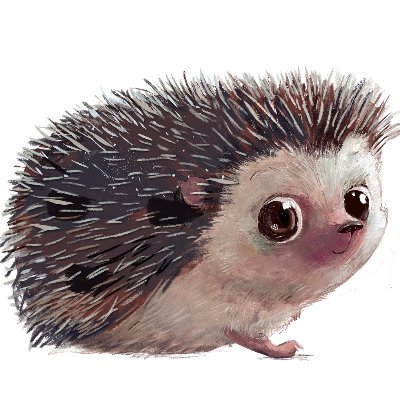 Hedgehog Presale(ILO) Review